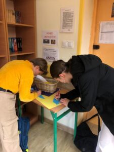 Konkurs Cytat (2)