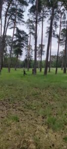 szkolenie na poligonie (15)