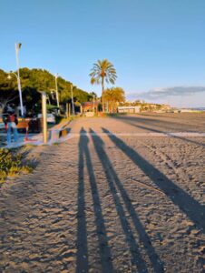 Malaga (8)